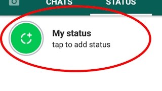 How to use Whatsapp statusnew features and share your status to your friends [upl. by Baras57]