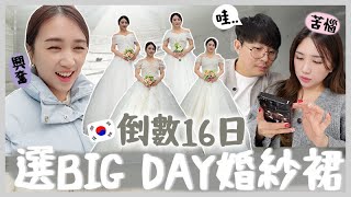 韓國婚禮實錄🇰🇷 婚禮倒數16日 終於選好BIG DAY 婚紗裙 可愛風 VS 優雅風 要造蜜月寶寶 AD 🐝 Mira 咪拉 [upl. by Rayford]