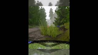 WRC 9 wrc9 rallycar rally wrc [upl. by Ahsiekit986]