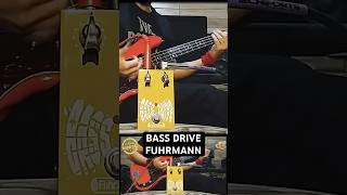 Vintage Bass Drive Fuhrmann  Barato e Funcional [upl. by Odnomor]