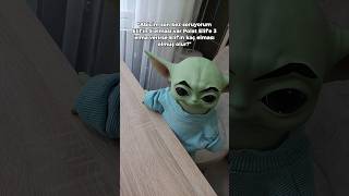 Baby Yoda kardeşine ders çalıştırıyor 😂  Baby Yoda babyyoda [upl. by Kcub263]