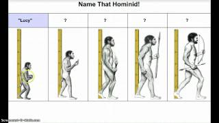 Early Hominids Capabilities [upl. by Pollyanna109]