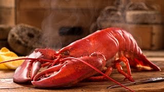 How To Correctly Cook Lobster [upl. by Deyes]