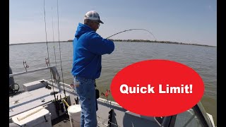 Lake Richland Chambers Sand Bass [upl. by Ahsinit]