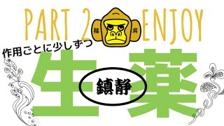 えんじょい生薬Part２【鎮静】登録販売者 [upl. by Aninahs873]