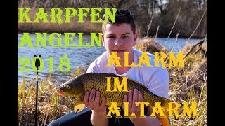 Karpfenangeln im Frühjahr 2018  Alarm am Altarm [upl. by Anoel]