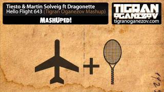 Tiesto amp Martin Solveig ft Dragonette  Hello Flight 643 Tigran Oganezov Mashup [upl. by Roarke]