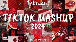 Tiktok Mashup February 🎉 2024 🎉 Not Clean [upl. by Nylloh939]