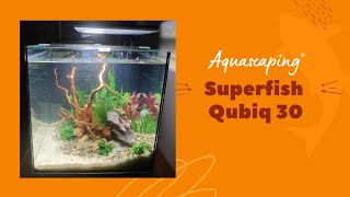 Aquascaping superfish qubiq 30 pro aquarium fish tank [upl. by Yarrum]