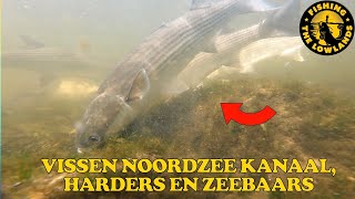 Vissen Noordzee kanaal Harders en Zeebaars FishVlog 84 [upl. by Ycul313]