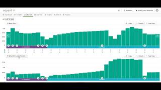 Mastering Holistic Financial Planning with Voyant [upl. by Akimrej]