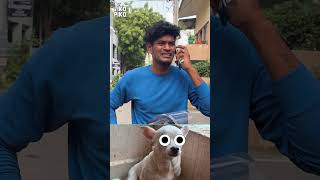 Manasula irukan mairula irukanu🤣🤣Tikos reaction  Tikopiko dog doglover chihuahua tikopiko [upl. by Jarlath919]