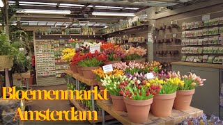 Bloemenmarkt Amsterdam walking tour  Flower Market in Amsterdam walking tour 4K [upl. by Ashatan917]