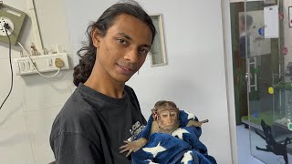 INJURED BABY MONKEY RESCUED 🚩🚩 [upl. by Obala824]