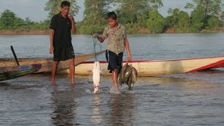 The Mekong Grounds of Plenty47 m Eng subtitles vers httpswwwyoutubecomwatchvG8d0c44rwVs [upl. by Annert892]