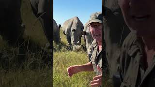 The horn on these white rhino is the most valuable commodity on earth 🌍🦏 ivancarter [upl. by Yrmac708]