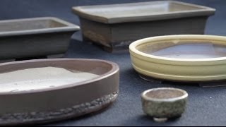 Bonsai pots [upl. by Dorotea]