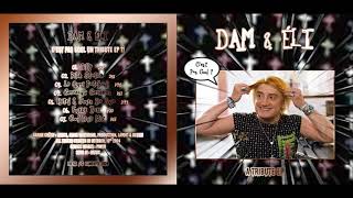 DAM amp ÉLI  Cest Pas Cool Un Tribute EP  free link [upl. by Dace217]