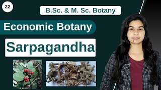 Economic Botany  Medicinal Plants  Sarpagandha  Rauvolfia serpentina  B Sc amp M Sc [upl. by Yentruocal]