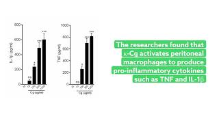 Uncovering how low molecular weight carrageenan triggers an immune response [upl. by Dinnie]