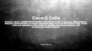 Medical vocabulary What does Caco2 Cells mean [upl. by Gemma293]