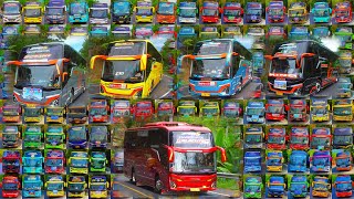 KUMPULAN KLAKSON TELOLET BASURI TERBARU HEBOH KEDATANGAN BUS ARTIS JANGELEE amp ALL BUS BRAVO SIERA [upl. by Brause]