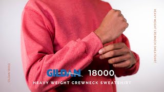 Gildan G185 Heavy Blend Hooded Sweatshirt  BlankClothingca [upl. by Holloway929]