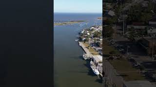 Seafood Festival Apalachicola Bay shorts travel viral [upl. by Aseeram707]