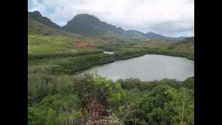 Kauai Hawaii Around Lihue [upl. by Hescock]