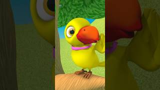 Main Tota Dancing Parrot मैं तोता मैं तोता shorts hindikavita birdslover educationalvideo fun [upl. by Gargan]