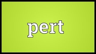 Pert Meaning [upl. by Yretsym]