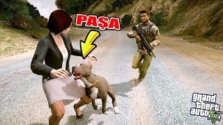 PİTBULLUM PAŞA İNTİKAMIMIZI ALIYOR  GTA 5 ZOMBİ KIYAMETİ MODU [upl. by Ailin724]