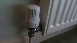 How to fix a thermostatic radiator valve if your radiator is not heating up [upl. by Aietal]