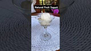 Soursop Yogurt The Probiotic Superfruit You Need [upl. by Gwendolen]