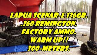 How accuracy is Lapua ScenarL 136gr 260 Rem factory ammo [upl. by Faith]