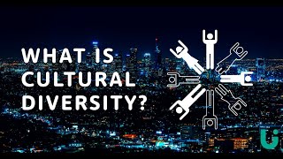 What is cultural diversity  Language Insight [upl. by Atila776]