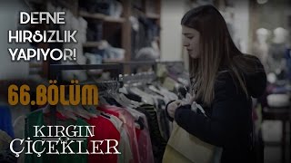 Kırgın Çiçekler 66 Bölüm  Defne hırsızlık yapıyor [upl. by Aneev]