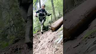 The process of dragging logs down the mountain [upl. by Maurits637]