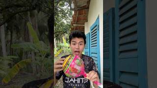 Food ASMR What day is the most satisfying part 232 [upl. by Ecinaj201]