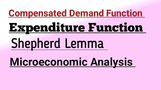 Compensated Demand Function Expenditure Function Shepherd Lemma Microeconomic Analysis mec101 maec [upl. by Sirref]