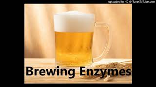 Beer Brewing Enzymes Suppliers Glucoamylase Thermostable α–Amylase for Brewing [upl. by Aitsirhc506]