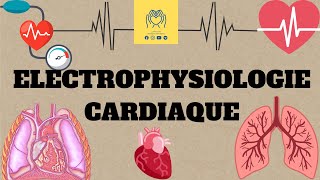 🫀physiologie 2éme unité1  cour 1 🔴Électrophysiologie cardiaque 📚 [upl. by Larsen]