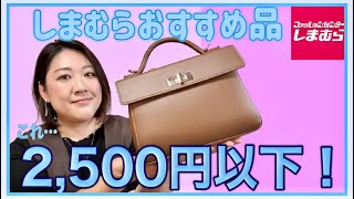 【しまむら】おすすめのプチプラ高見え！しまむらバッグをご紹介します【2500円以下！】 [upl. by Cassie]