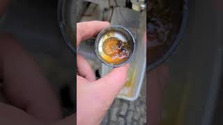 What Bad Fuel Can Do To Your Small Engine Carburetor  Ride On Mower shorts [upl. by Staley]