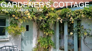 Cottage Garden Tour In MayGardeners Cottage Blakeney cottagegarden gardeningvideos gardentour [upl. by Metah]