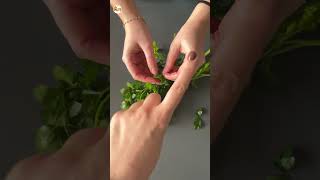 Astuce pour effeuiller ses herbes aromatiques super facilement  🌿 hack foodhack recettefacile [upl. by Ellenor]