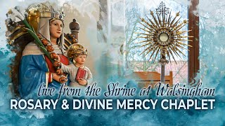 LIVE  Divine Mercy Chaplet and Rosary  23rd October 2024 [upl. by Hurty]