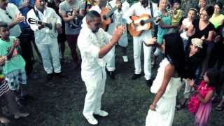 Groupe Gipsy David El Gitano Clip mariage Gitan je taime tellement gitan davidelgitano gipsy [upl. by Asylla274]