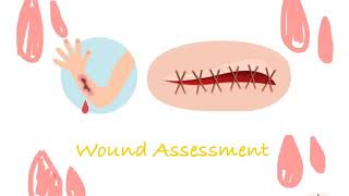 Wound Assessment REEDA [upl. by Ardnuasak]