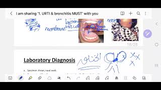 3 Diphtheria amp Moraxella  MUST 201 [upl. by Wyatt]